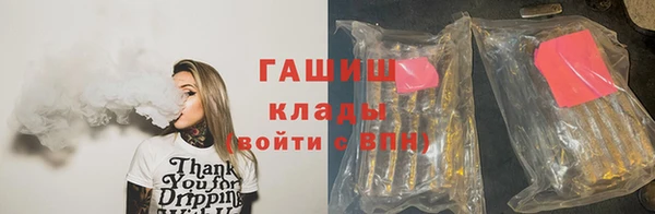 шишки Елизово