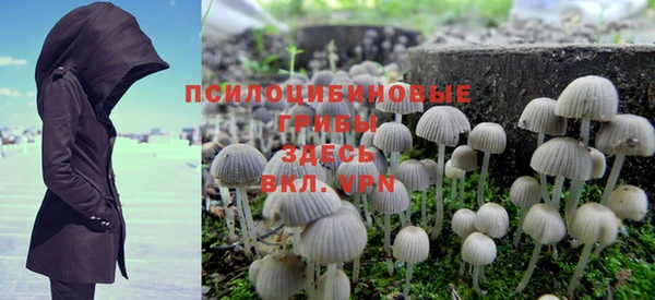 эйфоретик Заволжск