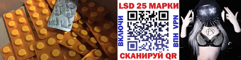 блэк спрут рабочий сайт  цены   дарк нет как зайти  Лсд 25 экстази кислота  Ковров 