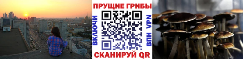 сайты даркнета как зайти  где купить наркоту  Ковров  Псилоцибиновые грибы мицелий 